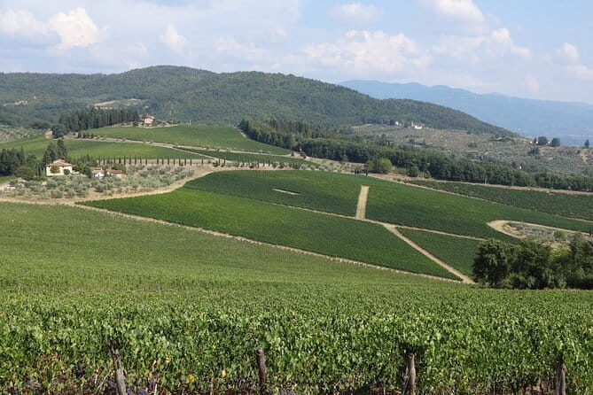 3 Hour Horse Ride to a Castle for Wine Tasting and snack Lunch - Three or four wines with a Tuscan lunch