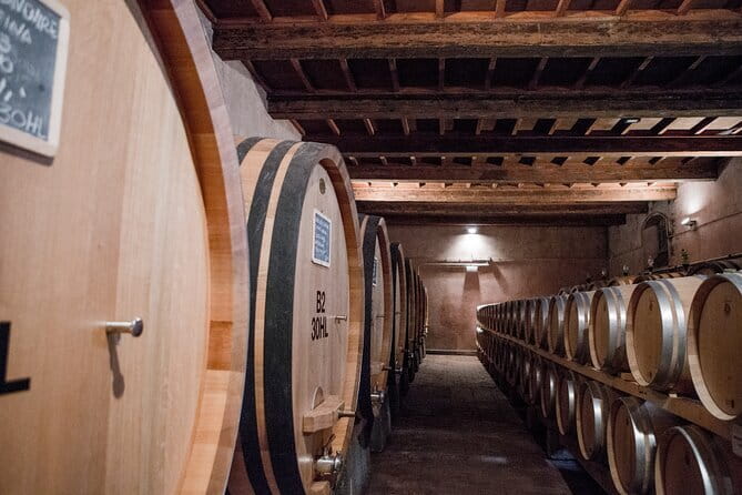 3 Hour Horse Ride to a Castle for Wine Tasting and snack Lunch - The ride through vineyards and olive groves