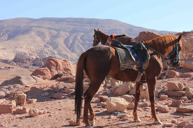 3 Hour Horse Riding Adventure around the Petra Area - Riding Beyond Petra’s Main Visitor Route