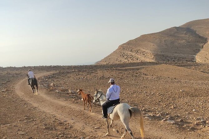 3 Hour Horse Riding Adventure around the Petra Area - Riding Into the Sunset