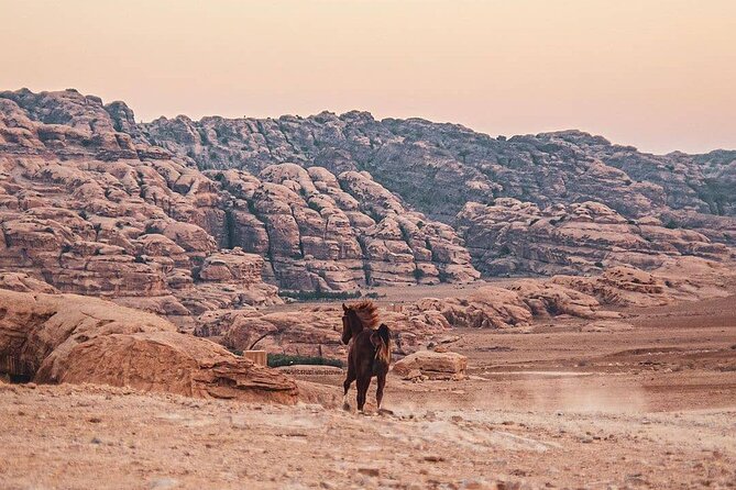 3 Hour Horse Riding Adventure around the Petra Area - Who Will Enjoy This Petra Horse Ride