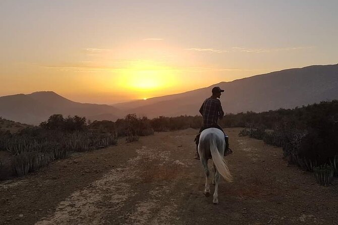 3-hour Horseback Ride Mountain and Beach Morocco - From the stable to Morocco’s open beach