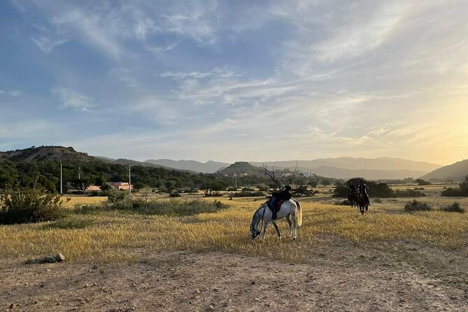 3-hour Horseback Ride Mountain and Beach Morocco - Why the animal care changes the value