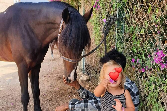 3-hour Horseback Ride Mountain and Beach Morocco - Timing, weather, and what to bring