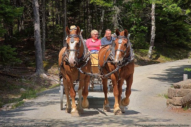 3-Hour Private Luxor Horse Carriage City Tour - A different way to see Luxor beyond the temples