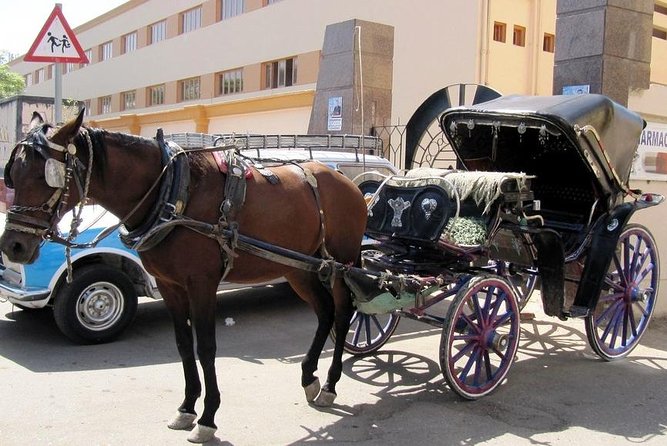 3-Hour Private Luxor Horse Carriage City Tour - What the local neighborhoods add