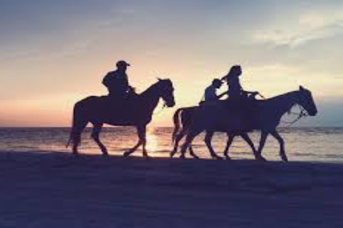 3-Hour Swim with Horses and Romantic Dinner from Hurghada hotels - A Red Sea Ride With a Proper Change of Scenery