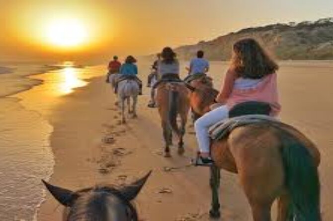3-Hour Swim with Horses and Romantic Dinner from Hurghada hotels - Meeting the Horses and Learning the Basics