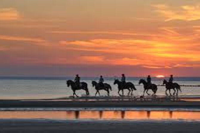 3-Hour Swim with Horses and Romantic Dinner from Hurghada hotels - An Evening Meal After the Ride