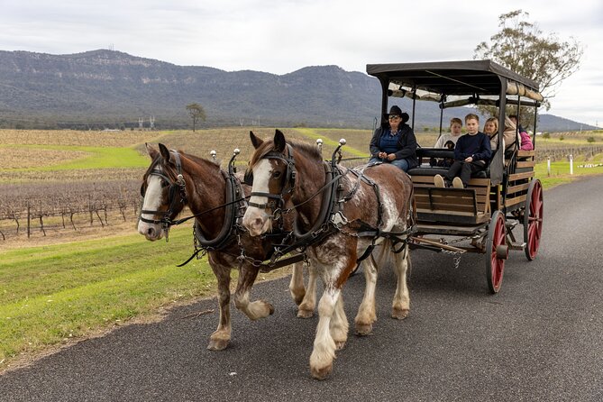 3- Hour Wine and Harvest the Hunter Horse Tour in Pokolbin - Why the carriage makes Pokolbin feel different