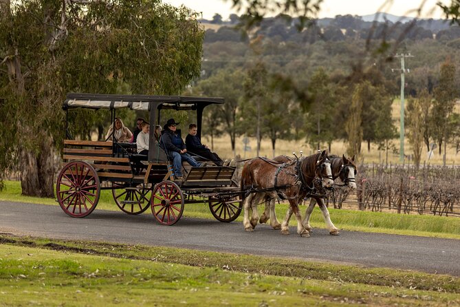 3- Hour Wine and Harvest the Hunter Horse Tour in Pokolbin - What happens at the 426 McDonalds Road meeting point