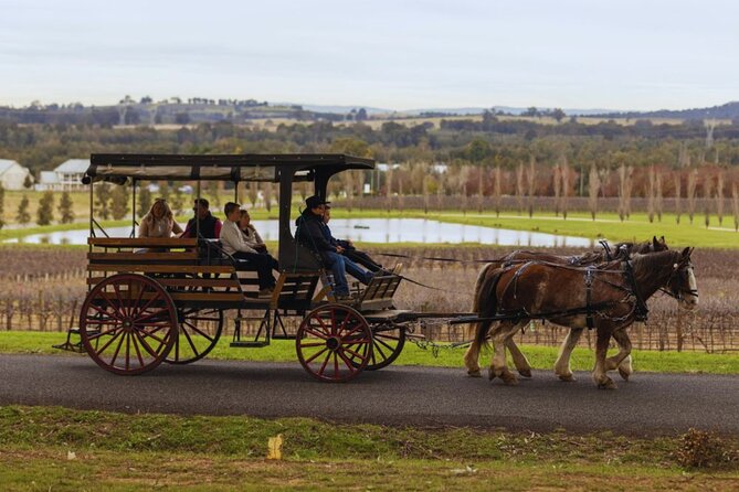 3- Hour Wine and Harvest the Hunter Horse Tour in Pokolbin - Cheese, chocolate, and local produce