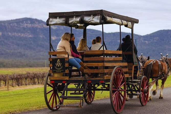 3- Hour Wine and Harvest the Hunter Horse Tour in Pokolbin - Is $106.87 good value?