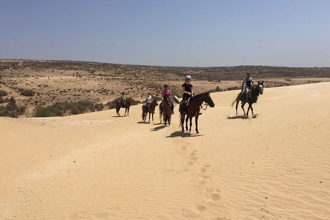 3 hours horse riding in Essaouira, beach, forest and dunes - Choosing the 10 a.m. or sunset departure