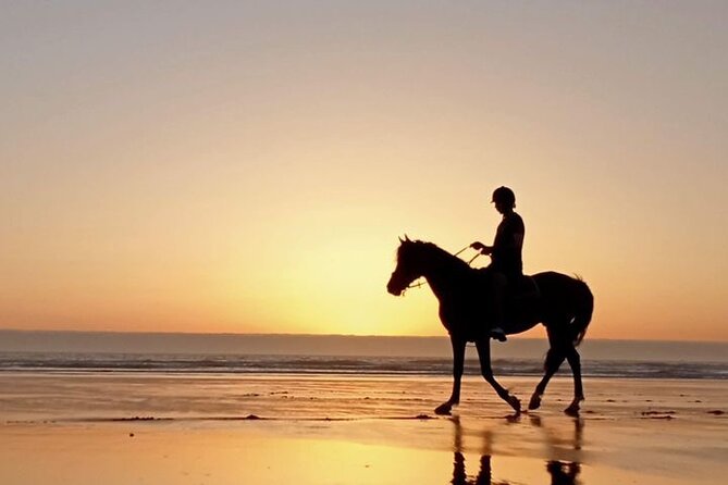 3 hours horse riding in Essaouira, beach, forest and dunes - The beach ride toward dunes and the fishing village