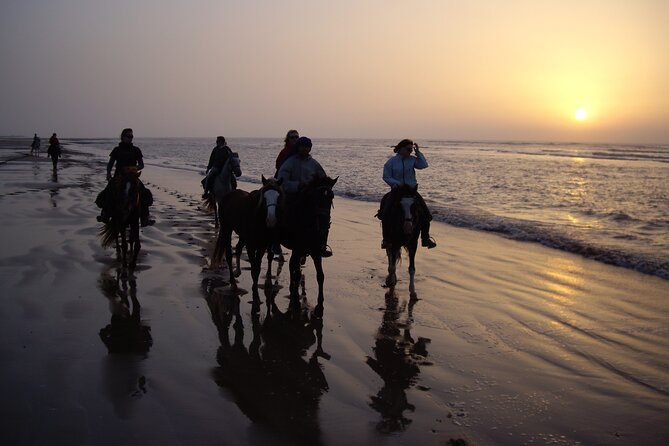 3 hours horse riding in Essaouira, beach, forest and dunes - Practical details that can make the ride better