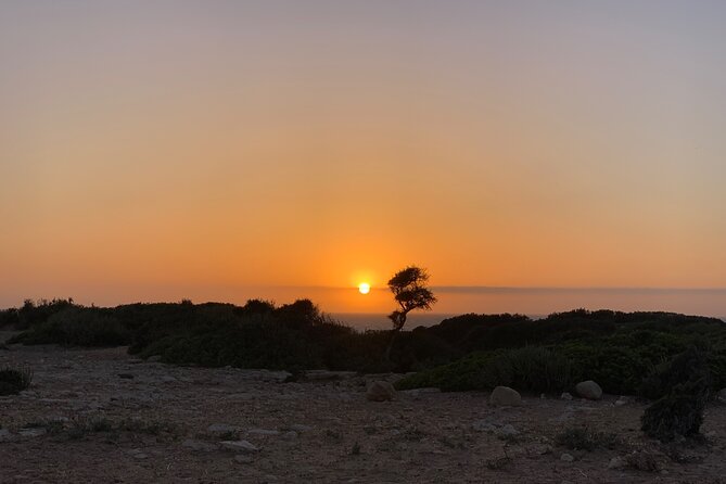 3 Hours Horse Riding with Dinner and Overnight Berber Camp - Guides, horses, and the human side of the ride