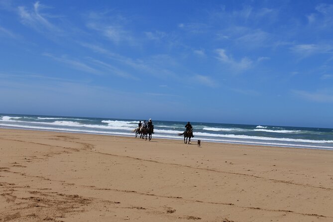 3 Hours Horse Riding with Dinner and Overnight Berber Camp - Booking warnings you should not skip