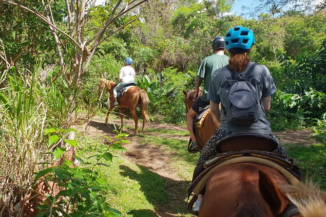 3 Hours Horseback Riding from Nature Trails to Sofa Stone - Riding through bamboo and island farmland