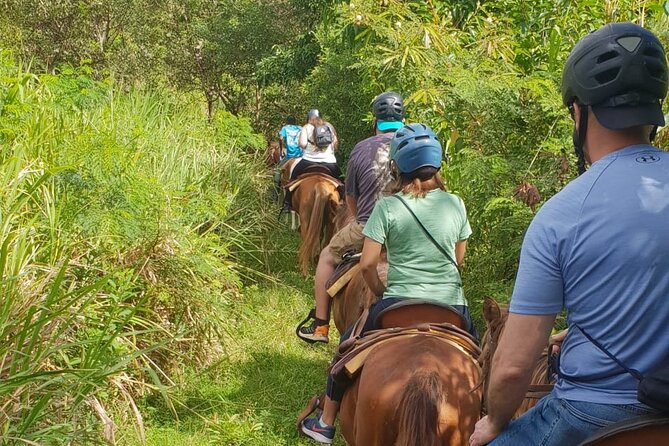 3 Hours Horseback Riding from Nature Trails to Sofa Stone - The ride back down the mountain