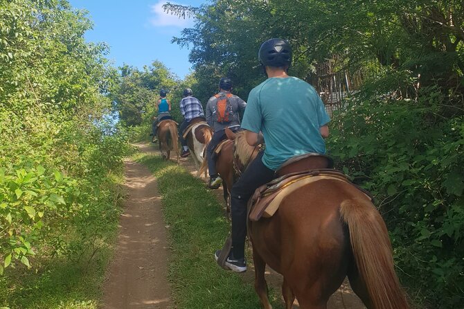 3 Hours Horseback Riding from Nature Trails to Sofa Stone - How the price compares with the experience