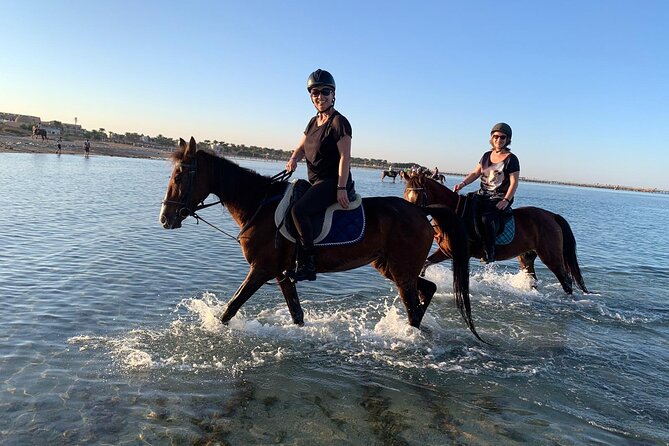 3 Hours Swimming By Horse in Red Sea Riding on the Beach and Dessert - Hurghada - What is included for the $59 price