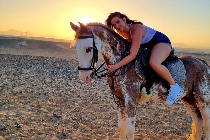 3 Hours Swimming By Horse in Red Sea Riding on the Beach and Dessert - Hurghada - Who will enjoy this most