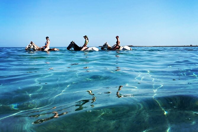 3 Hours Swimming By Horse in Red Sea Riding on the Beach and Dessert - Hurghada - Starting with hotel pickup in Hurghada