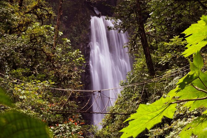 3-in-1 Monteverde Cloud Forest Waterfalls, Wild Trekking and Horseback Riding - What the four waterfalls and forest trail are like