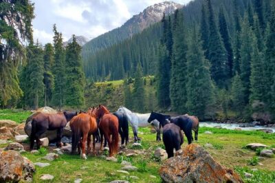 4 Days Issyk Kul & Chon Kemin with Nomadic Stay, Horse riding