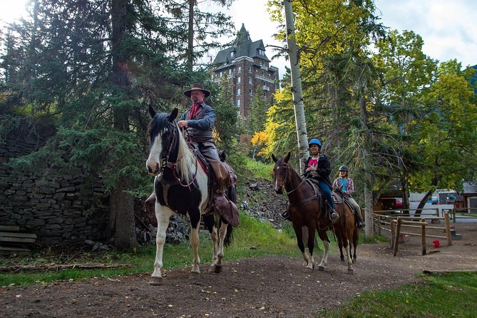 4 Hour Sulphur Mountain Horseback Ride - A proper mountain ride, not a gentle pony outing