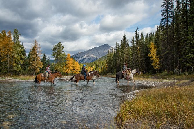 4 Hour Sulphur Mountain Horseback Ride - Who will enjoy this ride most?