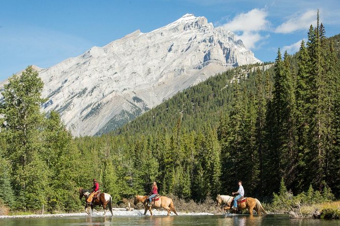 4 Hour Sulphur Mountain Horseback Ride - From Banff corrals to the Spray River Trail Loop