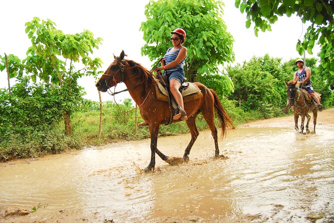 4 on 1 Tour. (Included Buggy, Zip lines, Horseback & Atabey Park) - The safari and horseback question