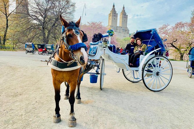 45 min Long VIP Central park carriage ride - Starting at Central Park South and West Drive