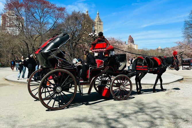 45 min Long VIP Central park carriage ride - Cherry Hill Gives You Time to Get Out