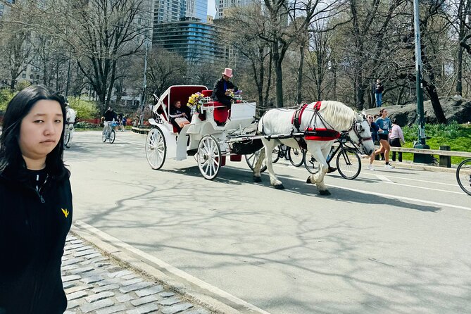 45 min Long VIP Central park carriage ride - The Mall, Strawberry Fields, and Tavern on the Green