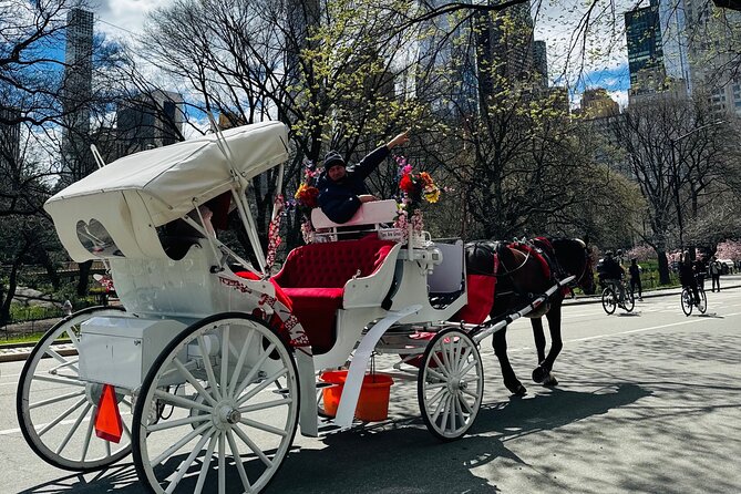 45 min Long VIP Central park carriage ride - Winter Blankets and Seasonal Comfort