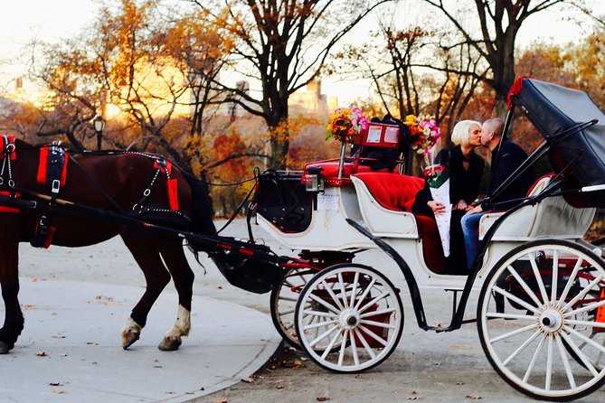 45 min Long VIP Central park carriage ride - Bethesda Terrace and the Park’s Central Sights