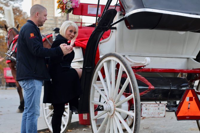 45 Minute VIP Central Park Carriage Ride - What the private format means for your group