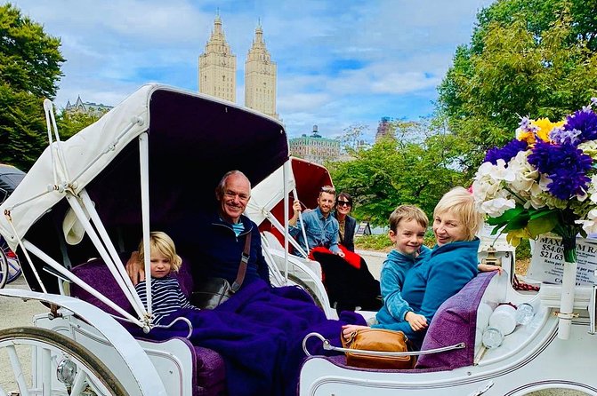 45 Minute VIP Central Park Carriage Ride - The Mall and Chess and Checkers House