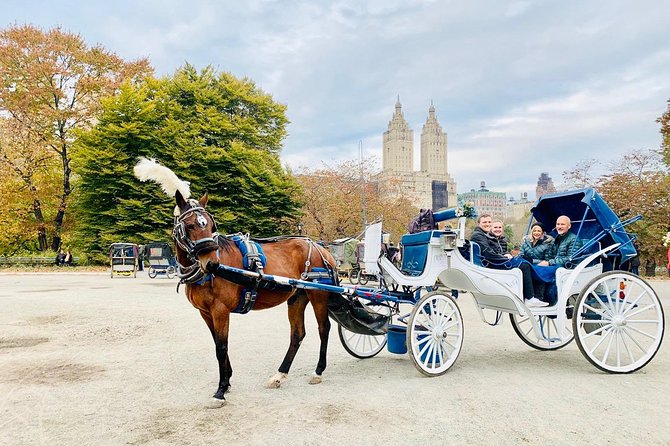 45 Minute VIP Central Park Carriage Ride - Bethesda Fountain and the park’s central views