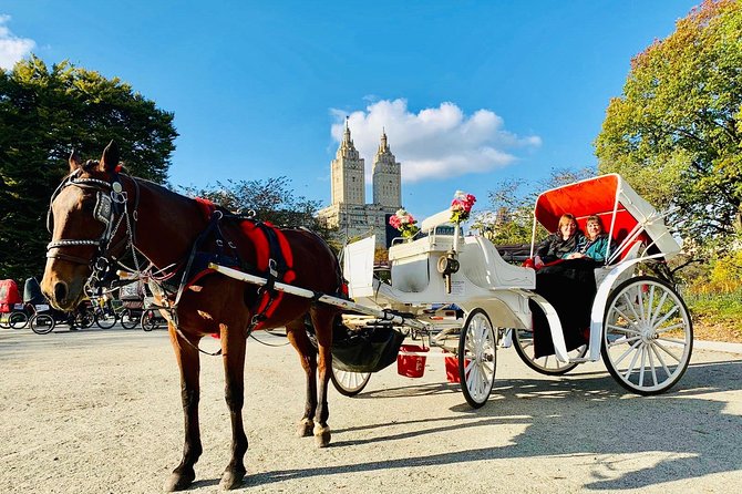 45 Minute VIP Central Park Carriage Ride - Cherry Hill Plaza and the planned photo stop
