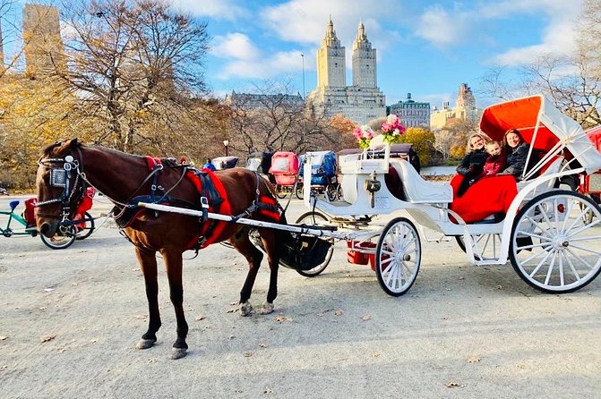 45 Minute VIP Central Park Carriage Ride - Ice skating rink, Carousel, and the first stretch of the route