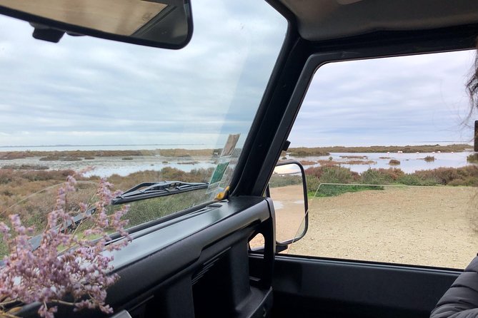 4x4 Camargue Safari 4h - Departure from Arles - Starting in Arles and heading into the delta