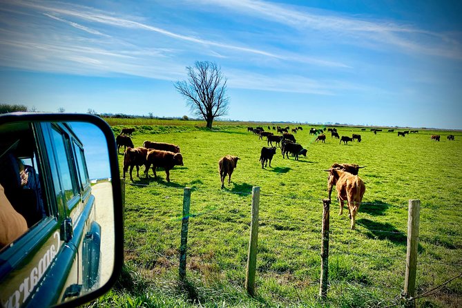 4x4 Camargue Safari 4h - Departure from Arles - Who will enjoy this half-day outing?