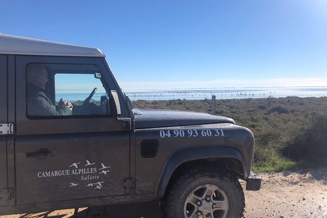 4x4 Camargue Safari 4h - Private Tour - Departure from Arles - What the private format changes