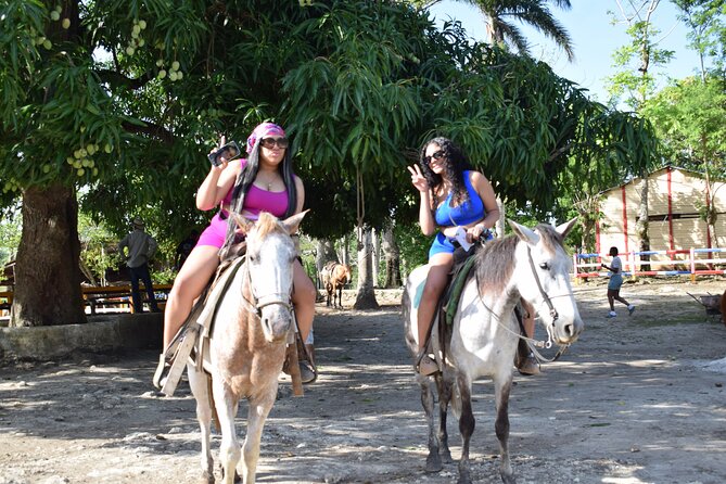 5 tours in 1 (Eco Farm/Horseback/City Tour/Buggy/Zipline) - Higuey, the basilica, and a quick look at local life