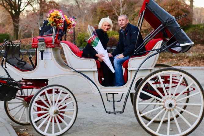 60 min surprise proposal carriage ride - Why this carriage ride works for a surprise proposal