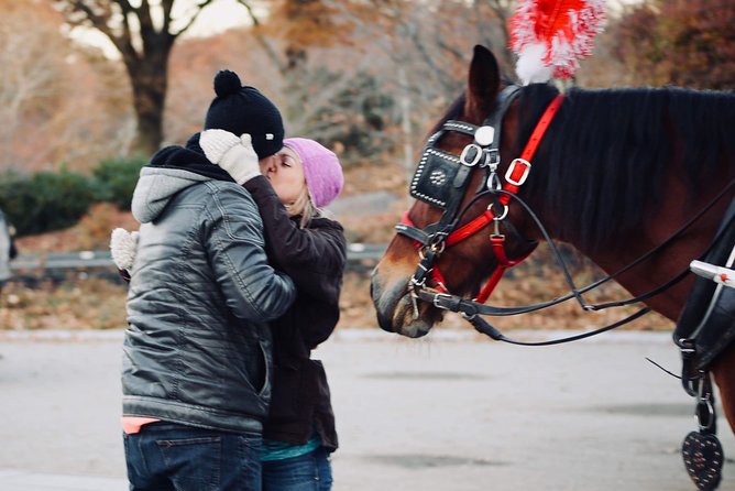 60 min surprise proposal carriage ride - The carriage, the horse, and the people running it